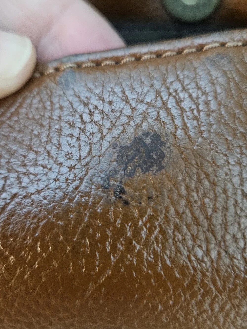 Fossil buckner messenger